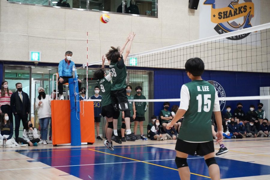 Haydn and Manny jump up for a monster block. Photo by Anna Tzou.