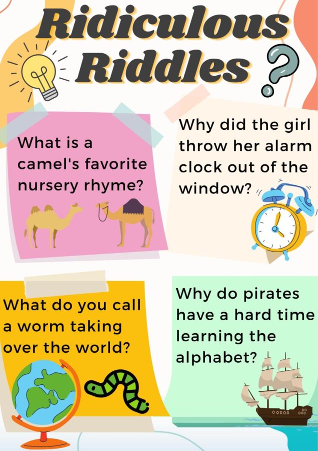 Ridiculous Riddles