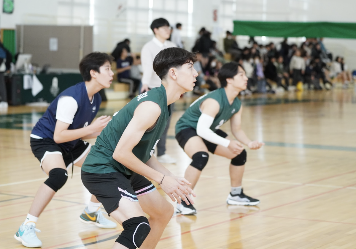 DIS back row players get into their defensive stance to receive the incoming spike. They study the ball’s trajectory to direct it to the setter. A perfect receive boosts the chances of a great hit from the front row. 