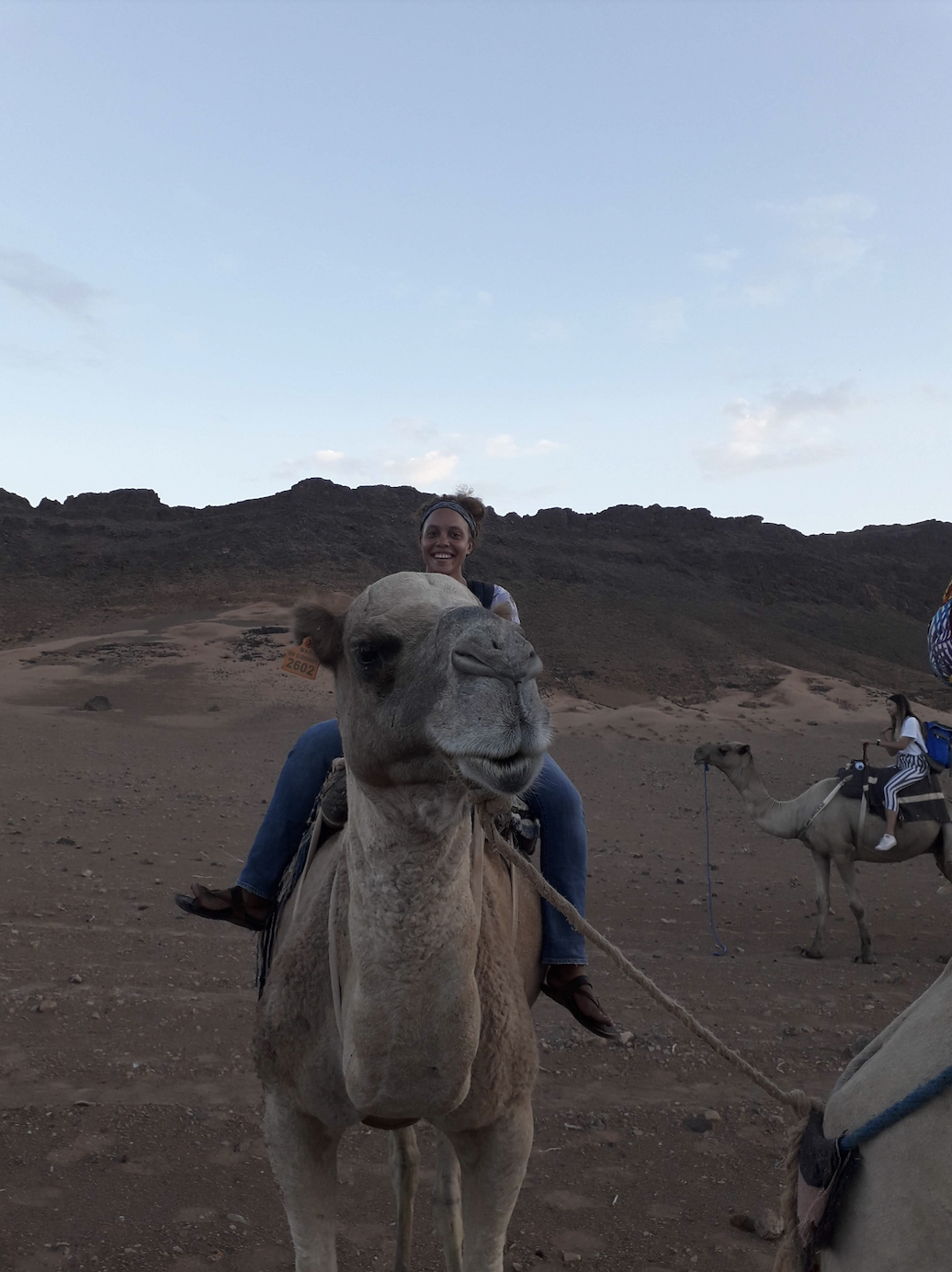 Triumphant after multiple falls, Ms. Dennard proudly sits on top of the camel she conquered in the Sahara desert. She left with unforgettable memories that last longer than the several bruises she collected from the fall. Photo courtesy of Ms. Dennard 