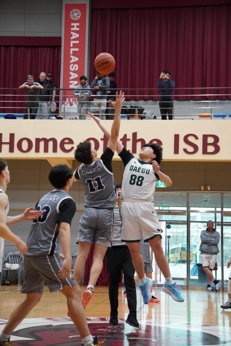 HS Boys Basketball Photos - Isabella Lee