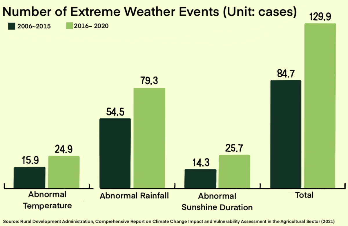 Soaring temperatures and erratic rainfall nearly doubled the frequency of extreme weather events in South Korea in the last decade. The nation’s once-stable climate, central to its agricultural identity, now unravels.