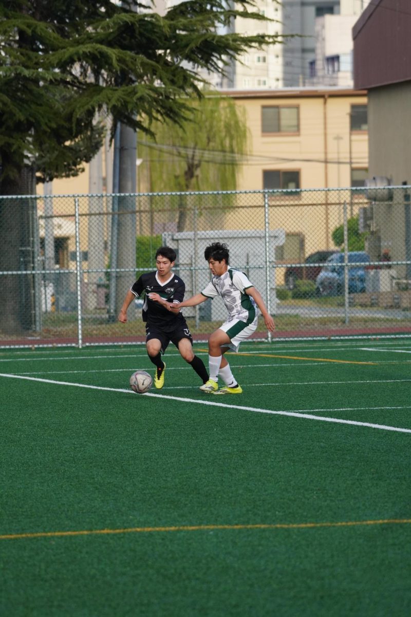 Photo 7 (13)
