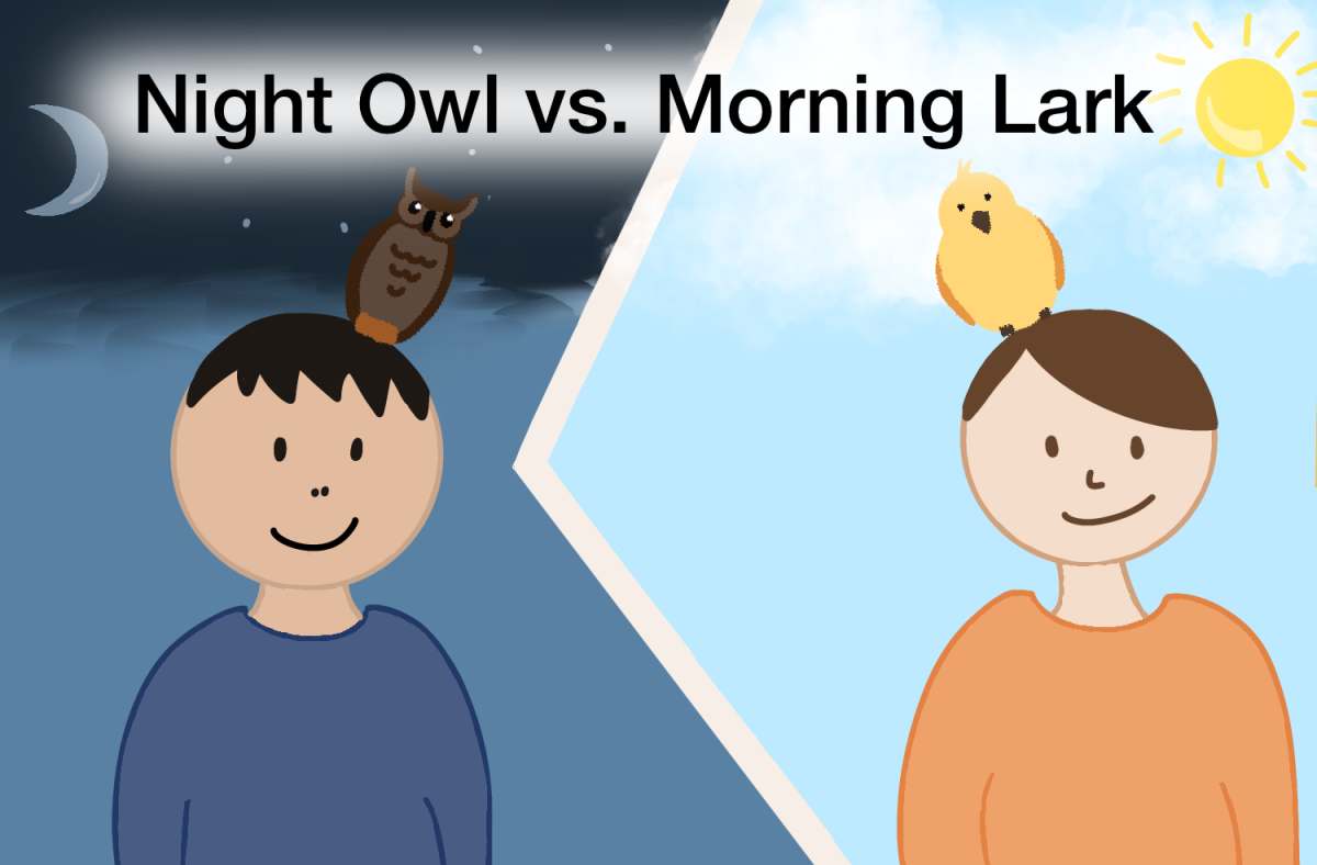 Different schedules, different lifestyles: DIS students and teachers share their thoughts on their mornings and nights.